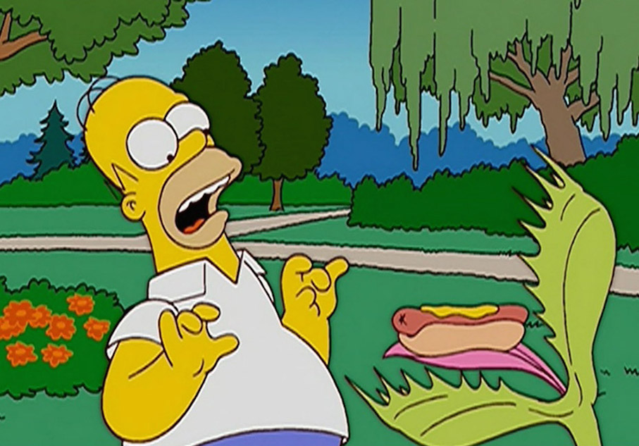 10 Internet Security Tips - The Homer Simpson Guide - Stranded Traveler Scam 10 Internet Security Tips - The Homer Simpson Guide - Stranded Traveler Scam